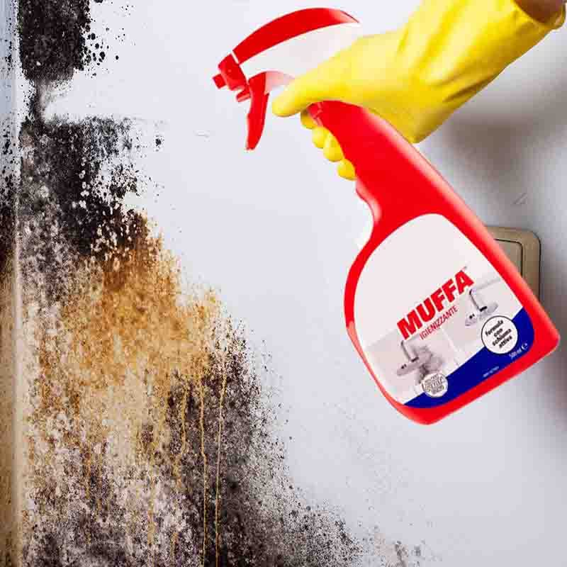 ANTIMUFFA Spray 250ml per interni ed Esterni Elimina Muffe, Alghe, Muschi,  licheni e deterge