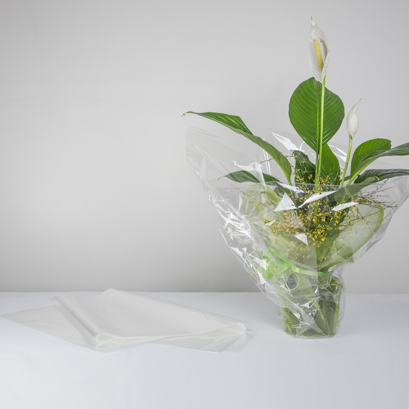 Fogli Cellophane Trasparenti per Confezioni 100x130 cm, 25 pz, carta  trasparente per cesti regalo : : Casa e cucina