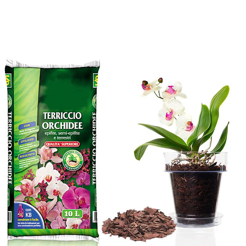 Terra per orchidee con vaso trasparente da 10 litri