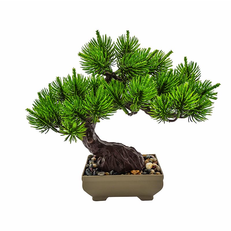 Bonsai finto – Pino giapponese 23×23,5 cm