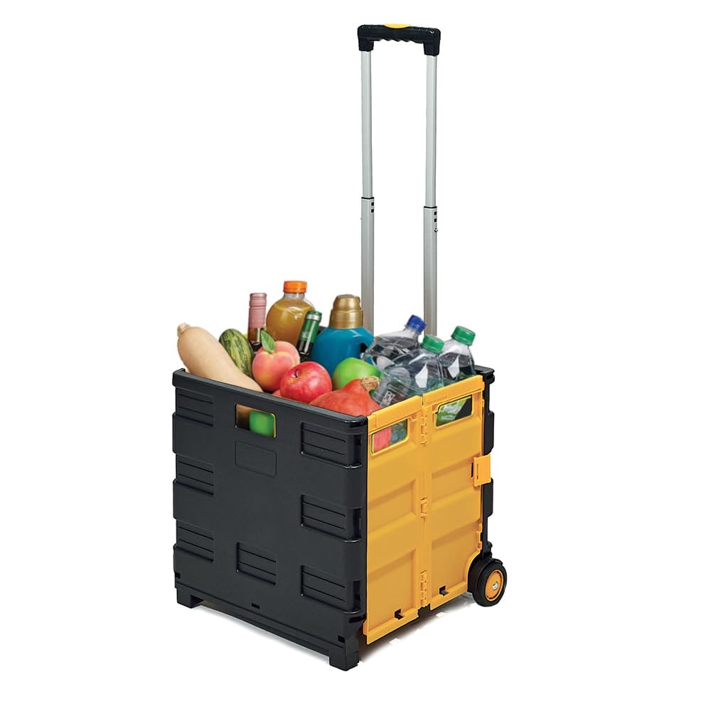 Carrello portaspesa pieghevole portata max 35Kg